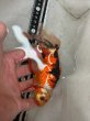 画像3: ブリストル朱文金　17ｃｍ (3)