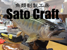 魚類剥製工房